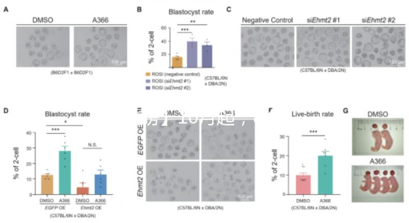 【重磅】10月起，8個輔助生殖類診療項目可醫保報銷！關于試管嬰兒，你想知道的都在這里……