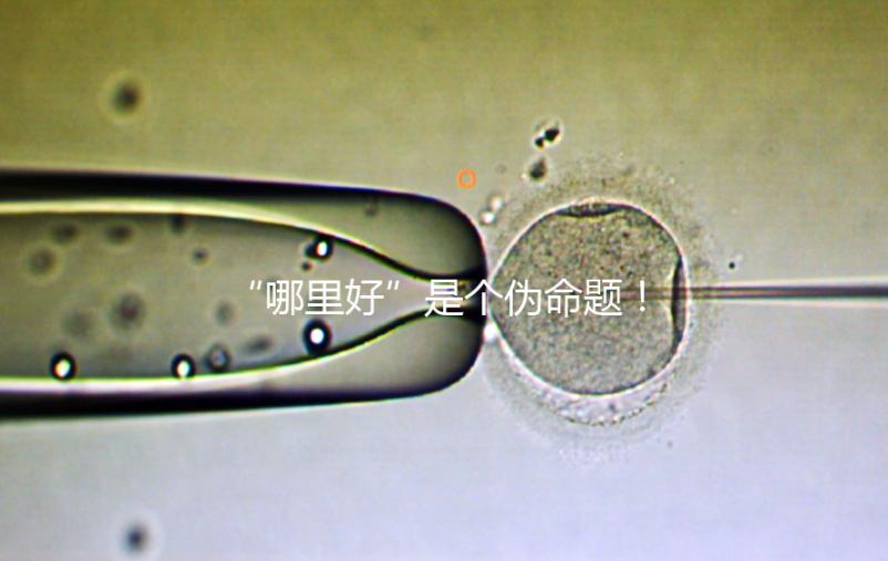 “哪里好”是個偽命題！上海市第十人民醫(yī)院做試管經(jīng)驗分享