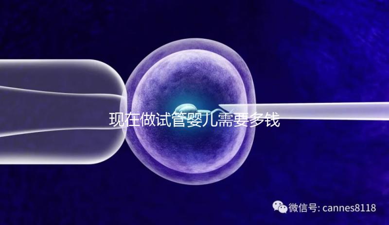現(xiàn)在做試管嬰兒需要多錢(現(xiàn)在做試管嬰兒多少錢一次)