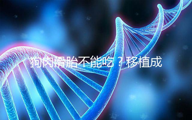 狗肉滑胎不能吃？移植成功后能不能吃狗肉答案看這里