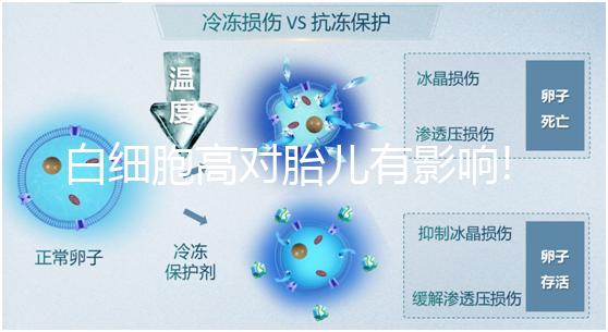 白細(xì)胞高對胎兒有影響!處于孕期的準(zhǔn)媽媽們要多加留意