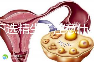 私下選精生子注意什么細(xì)節(jié)要早知，選擇正規(guī)機(jī)構(gòu)最重要