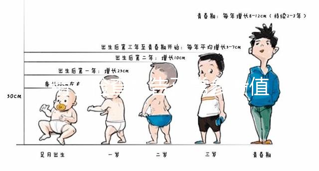 精子檢查報(bào)告正常參考值圖例分析,關(guān)注這3項(xiàng)指標(biāo)就夠了