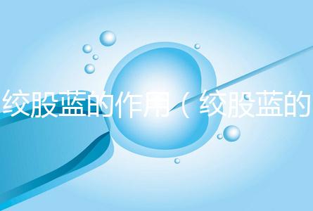 絞股藍(lán)的作用(絞股藍(lán)的作用與功效)