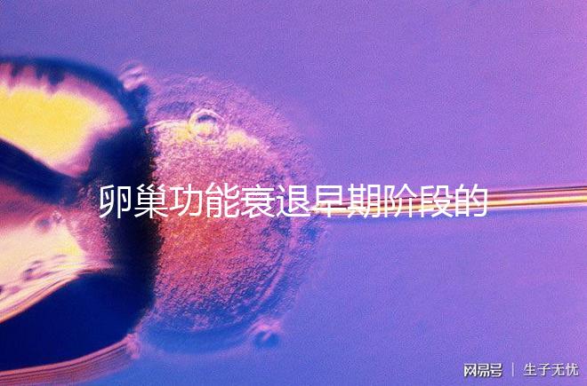 卵巢功能衰退早期階段的妊娠率釋疑,供卵試管嬰兒可>50%