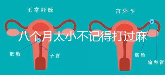 八個月太小不記得打過麻風疫苗看這，2大反應教你辨別