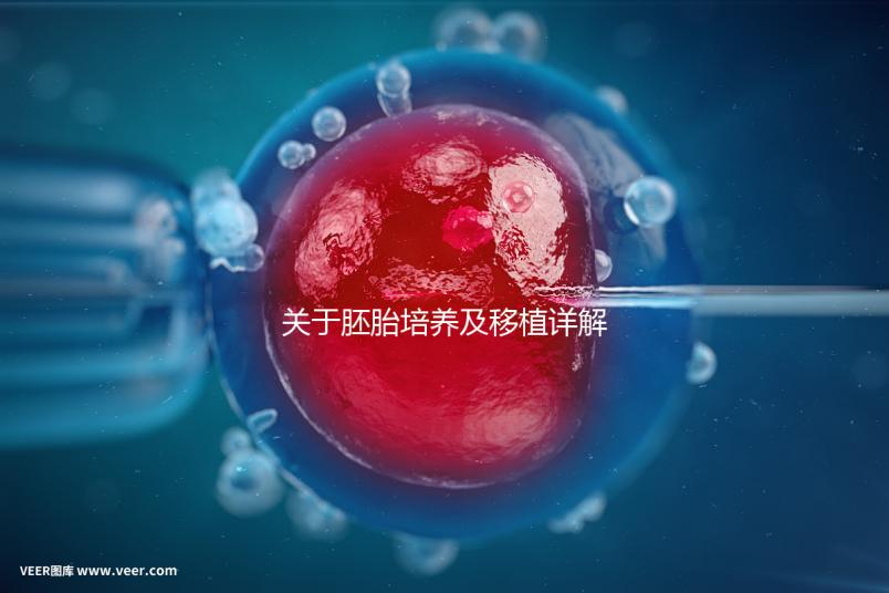 關于胚胎培養及移植詳解
