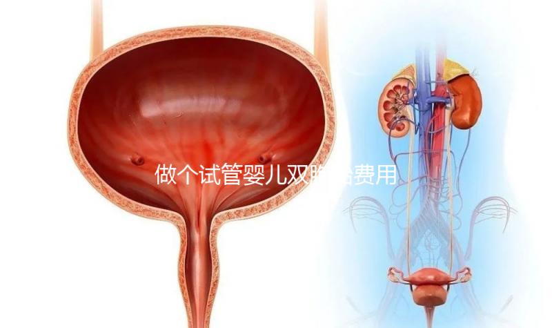 做個試管嬰兒雙胞胎費用大概要多少錢？