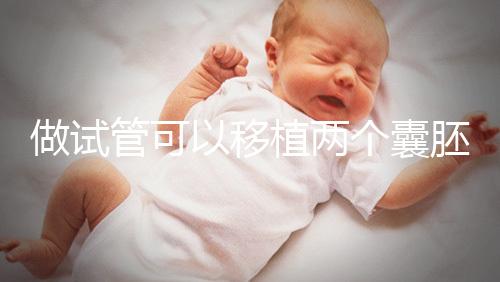 做試管可以移植兩個囊胚嗎？