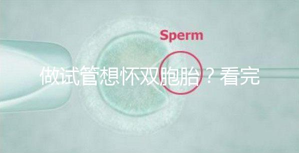 做試管想懷雙胞胎？看完這篇文章再決定