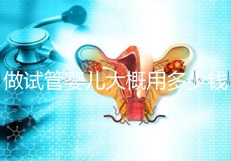 做試管嬰兒大概用多少錢，做試管嬰兒一般需要多少錢