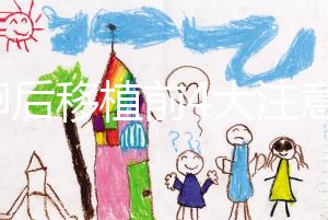 取卵后移植前4大注意事項要謹記！提升試管成功率就靠它