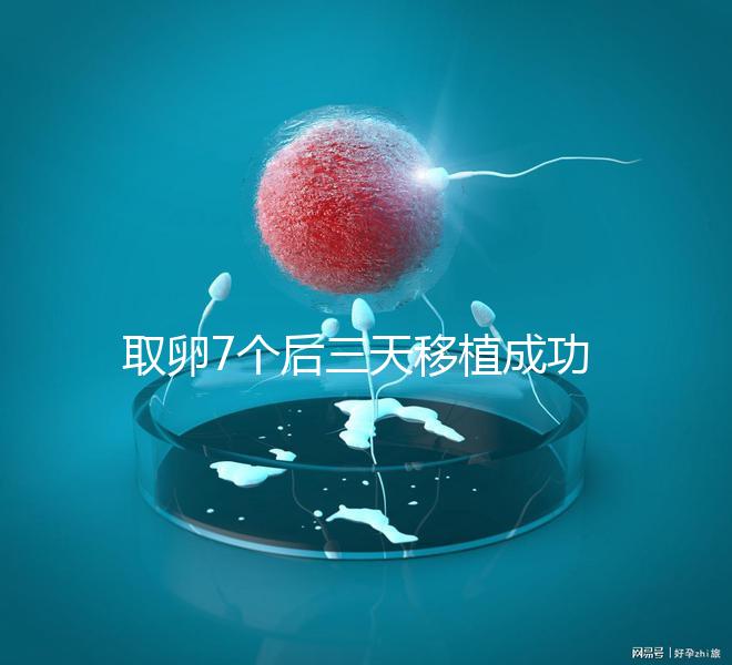 取卵7個后三天移植成功率真不低,關(guān)鍵要滿足這5大條件