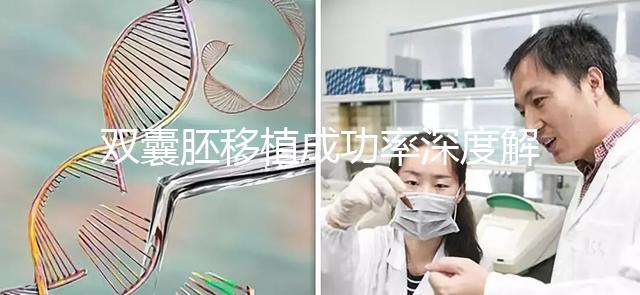 雙囊胚移植成功率深度解析：試管嬰兒成功的關鍵所在