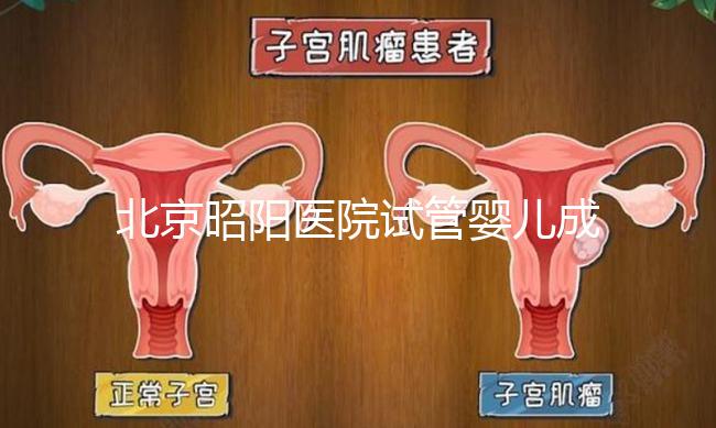 北京昭陽醫院試管嬰兒成功率？生殖醫院醫生排名推薦