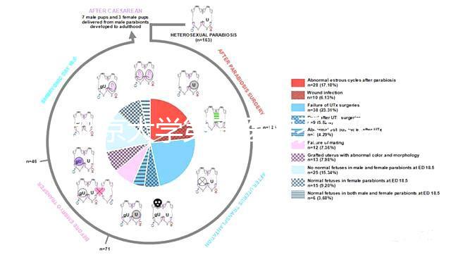 北京大學第三醫院喬杰院士牽頭在《柳葉刀》發表試管嬰兒技術最新研究成果