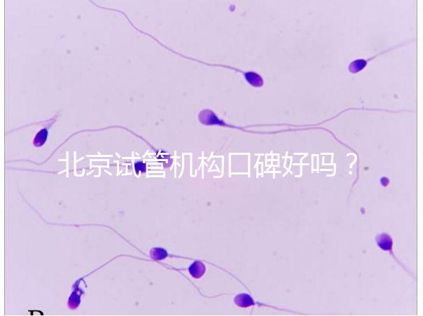 北京試管機構口碑好嗎?哪個醫(yī)院靠譜?