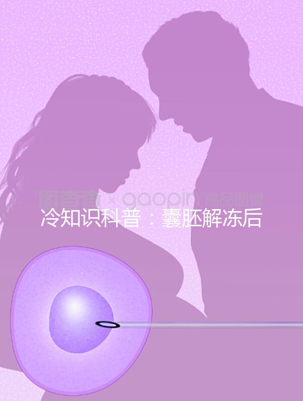 冷知識(shí)科普：囊胚解凍后升級的原因有這些