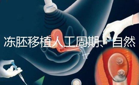 凍胚移植人工周期、自然周期怎么選？哪個成功率高？