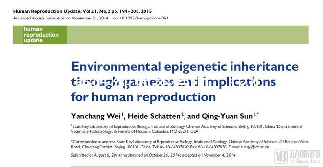 冬季吃紅棗補氣血，這4大禁忌孕婦千萬別犯