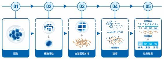 別只造一天中早上易受孕生男孩,60秒教你算出最佳同房時間