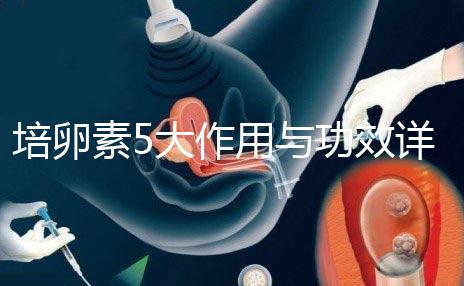 培卵素5大作用與功效詳解,提高卵子質(zhì)量?jī)H為其一
