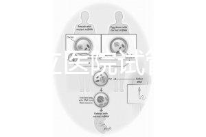 國內公立醫院試管嬰兒費用概覽：一般要花多少錢？