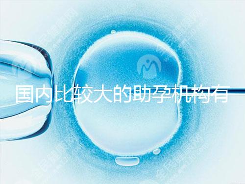 國內比較大的助孕機構有哪些？盤點2024中國正規助孕機構名單