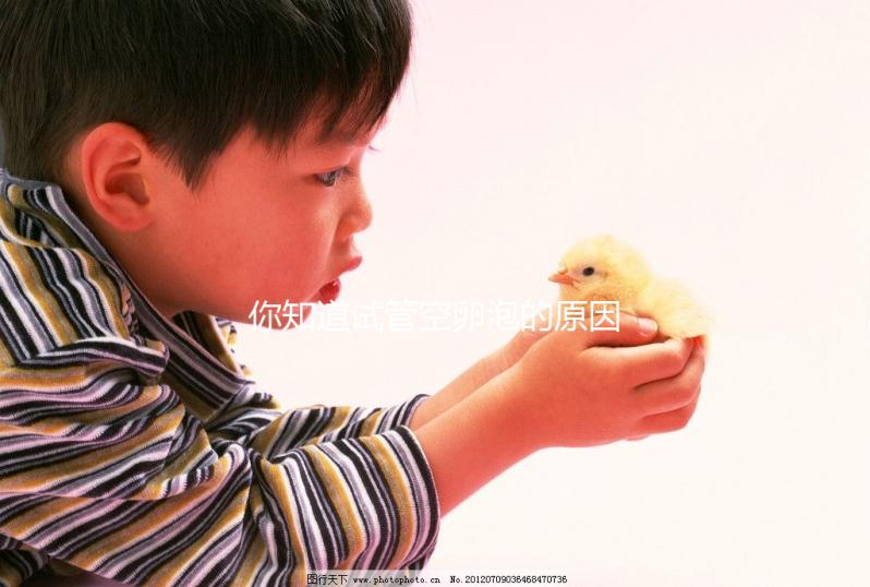 你知道試管空卵泡的原因和癥狀是否會(huì)消失嗎？