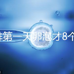 促排第一天卵泡才8個(gè)別慌，怎么辦、多大正常一文說(shuō)清
