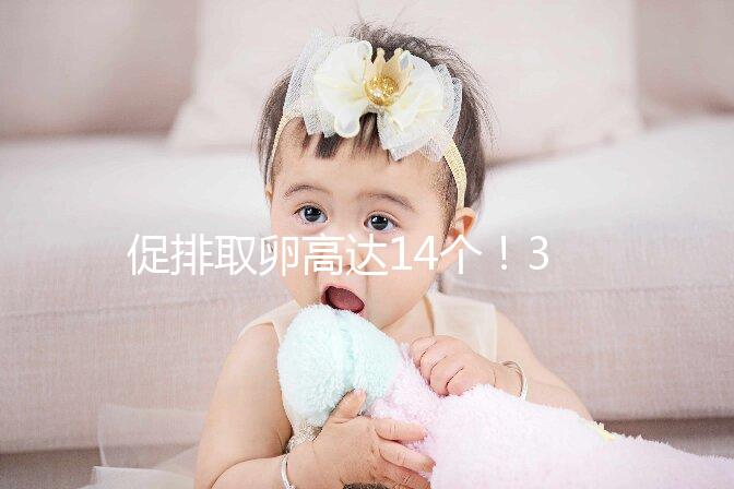 促排取卵高達14個！35歲做試管嬰兒取卵多個正常？