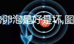 優(yōu)勢卵泡是好是壞,圖片僅供認(rèn)識(shí),判斷還需要3點(diǎn)