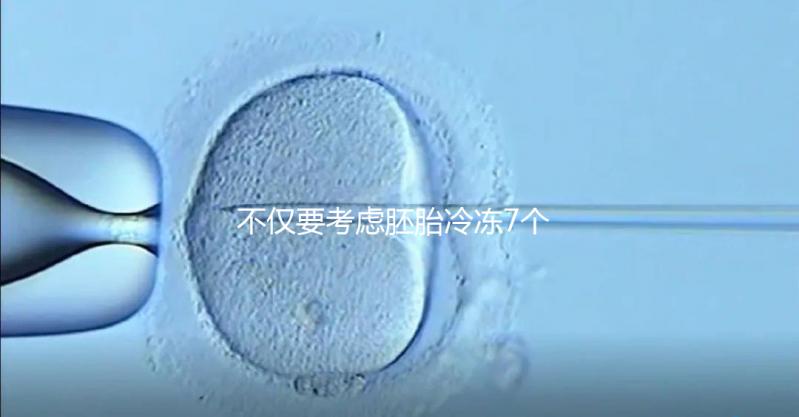 不僅要考慮胚胎冷凍7個(gè)月是否可以移植，還要了解受孕率的影響