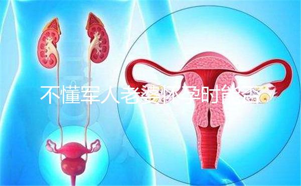 不懂軍人老婆懷孕時(shí)能否休陪護(hù)假快收藏，異地最高15天