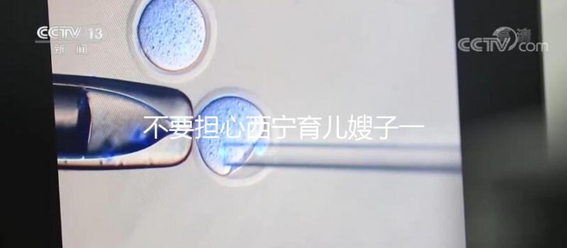 不要擔心西寧育兒嫂子一個月多少錢，關心機構是否正式