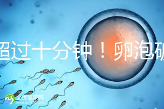 不超過十分鐘！卵泡破裂到輸卵管的時間，備孕必收藏