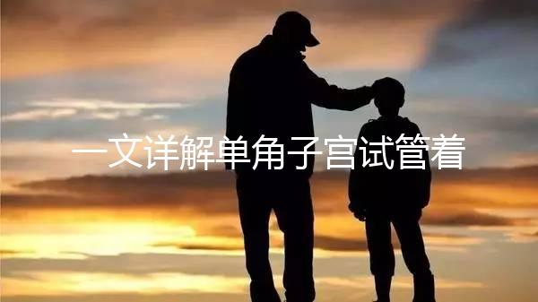 一文詳解單角子宮試管著床困不困難,失敗或和這幾點有關