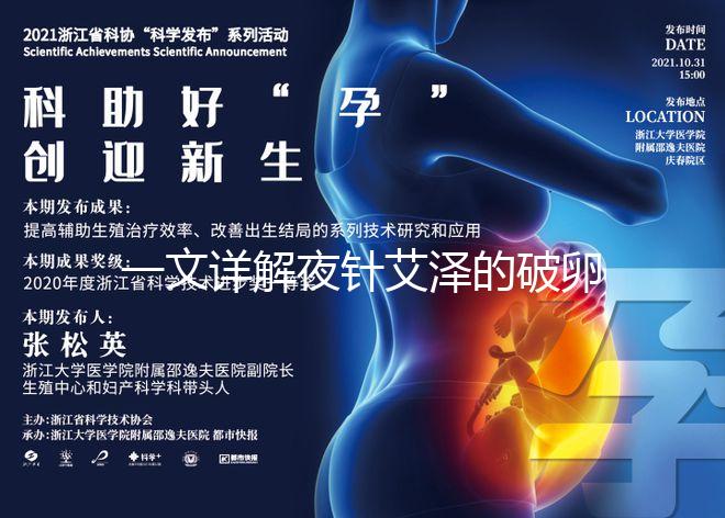 一文詳解夜針艾澤的破卵成功率，60s弄清跟絨促誰更高