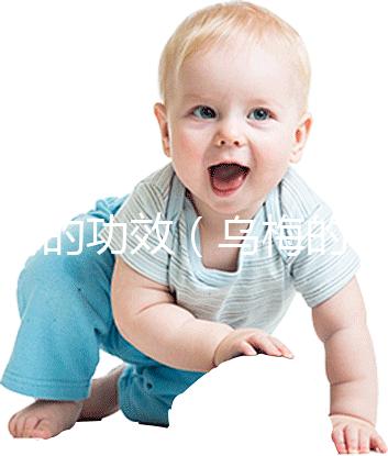 烏梅的功效（烏梅的功效與作用的功能與主治）