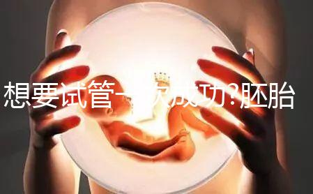 想要試管一次成功?胚胎移植后這5大注意事項(xiàng)請收藏