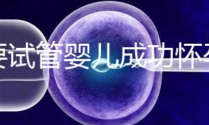 想要試管嬰兒成功懷孕？先學會正確飲食！