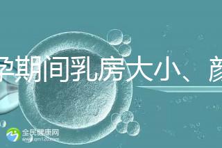 懷孕期間乳房大小、顏色變化有區(qū)別，男寶女寶這樣看