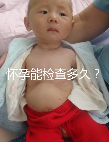 懷孕能檢查多久?