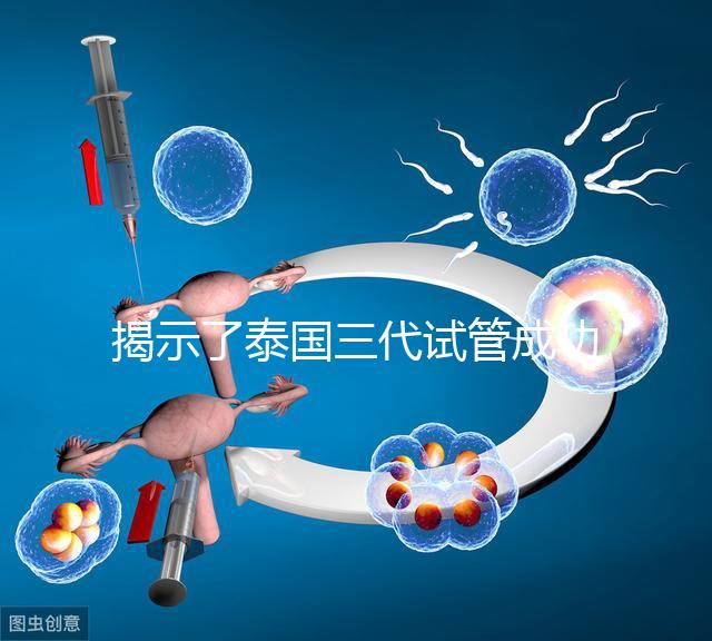 揭示了泰國(guó)三代試管成功率高的原因，以及優(yōu)秀的技術(shù) 完美結(jié)合全方位服務(wù)