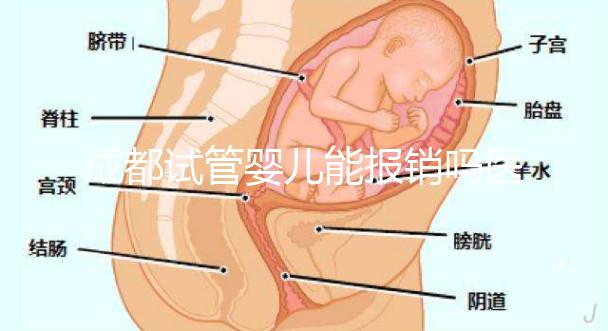 成都試管嬰兒能報(bào)銷嗎醫(yī)保?政策解讀
