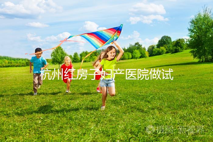 杭州紅房子婦產(chǎn)醫(yī)院做試管嬰兒需要多少錢?2025試管價目表曝光(含檢查、促排、移植全流程費用明細(xì))