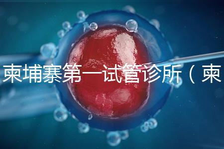 柬埔寨第一試管診所(柬埔寨第一試管診所地址)