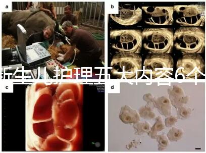 新生兒護(hù)理五大內(nèi)容6個(gè)要點(diǎn)整理,嬰兒養(yǎng)育照護(hù)干貨來了