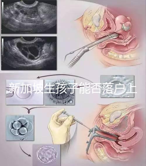 新加坡生孩子能否落戶上海分,@家長(zhǎng):高學(xué)歷可以申請(qǐng)