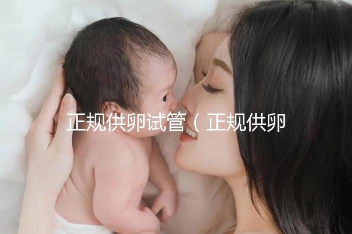正規供卵試管（正規供卵試管嬰兒醫院）